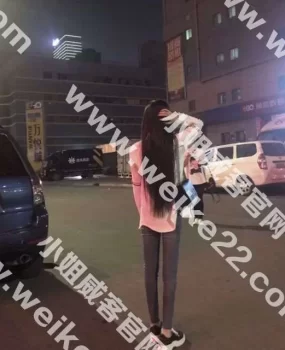 邢台中世纪约苗条酥胸嫩妹